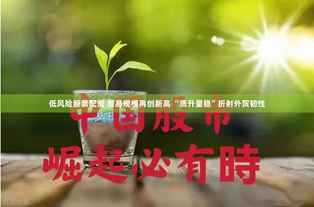   低风险股票配资 贸易规模再创新高 “质升量稳”折射外贸韧性