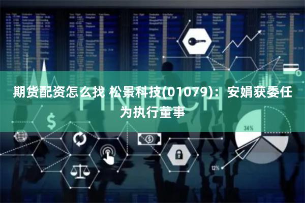   期货配资怎么找 松景科技(01079)：安娟获委任为执行董事