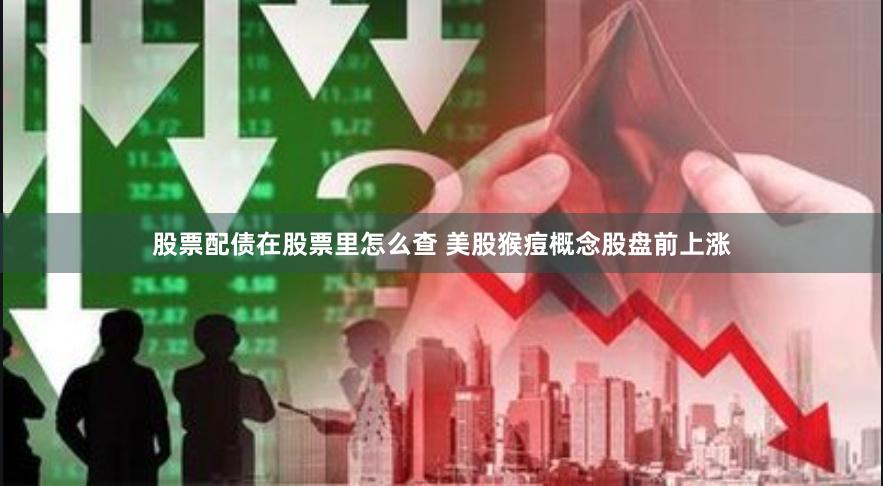   股票配债在股票里怎么查 美股猴痘概念股盘前上涨