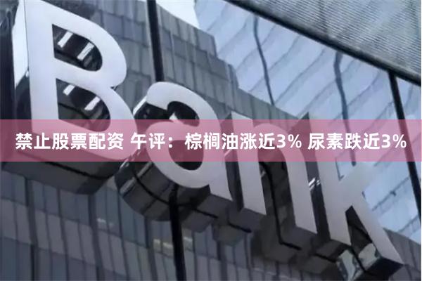   禁止股票配资 午评：棕榈油涨近3% 尿素跌近3%